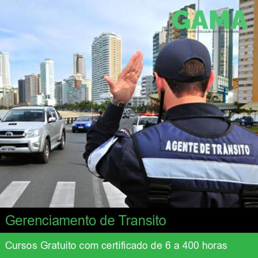 Gerenciamento de Transito